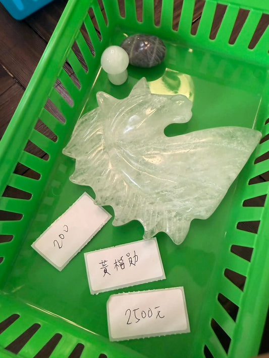 週六直播-黃楷勛