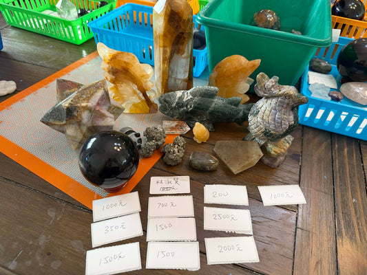 週六直播-林淑賢