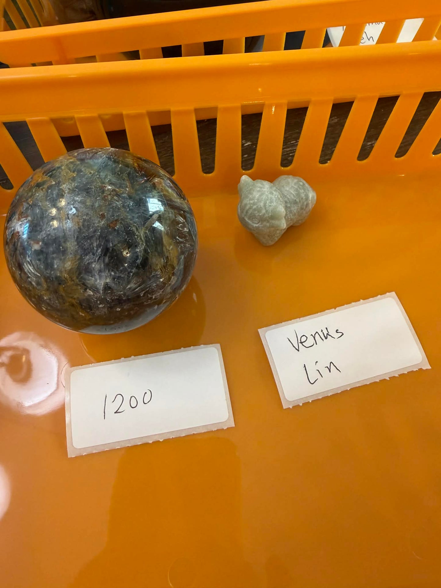 週六直播-Venus Lin