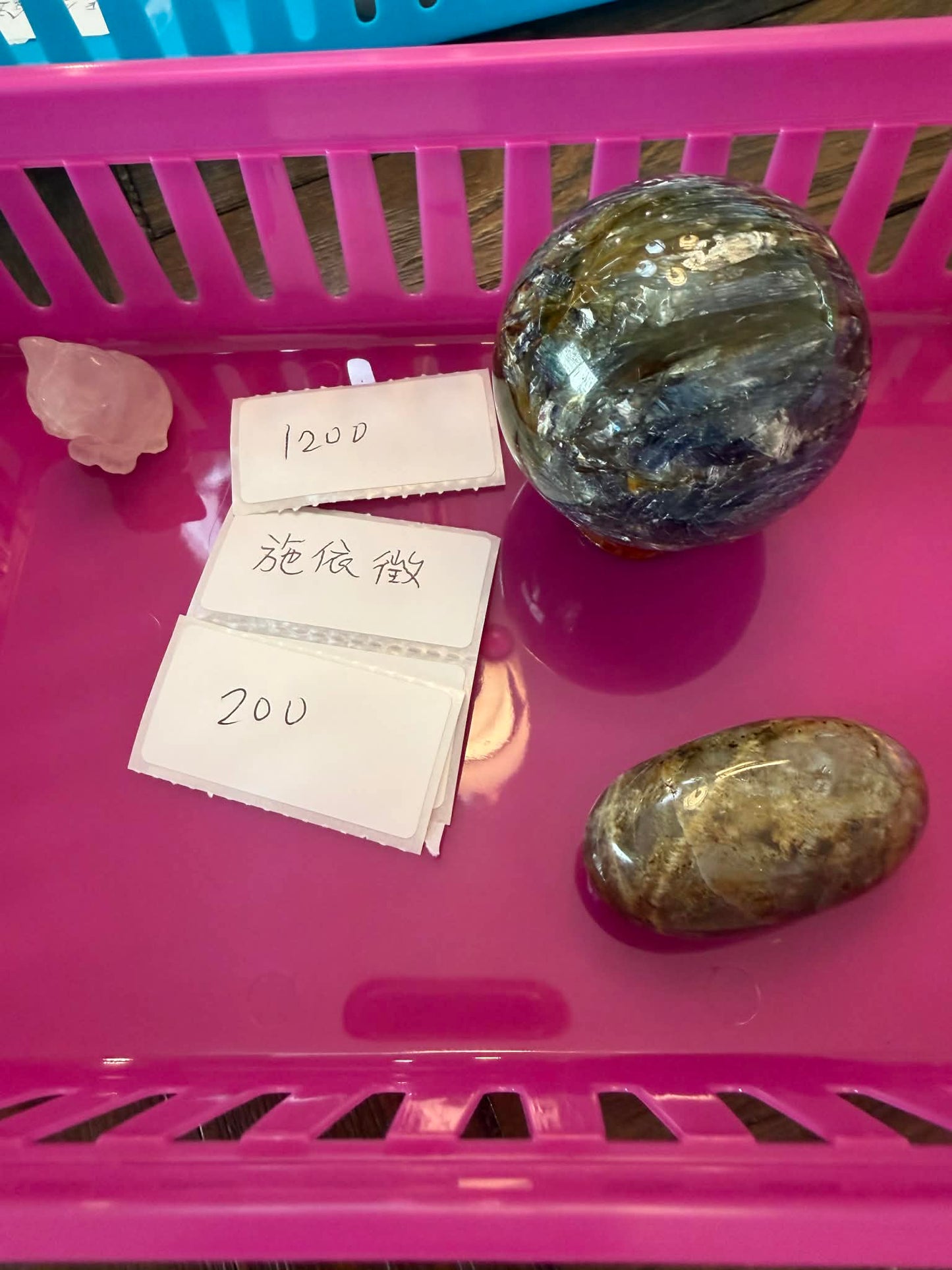 週六直播-施依徵